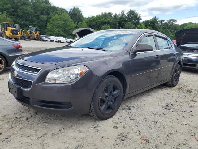 CHEVROLET MALIBU 2011 1g1zb5e18bf317632