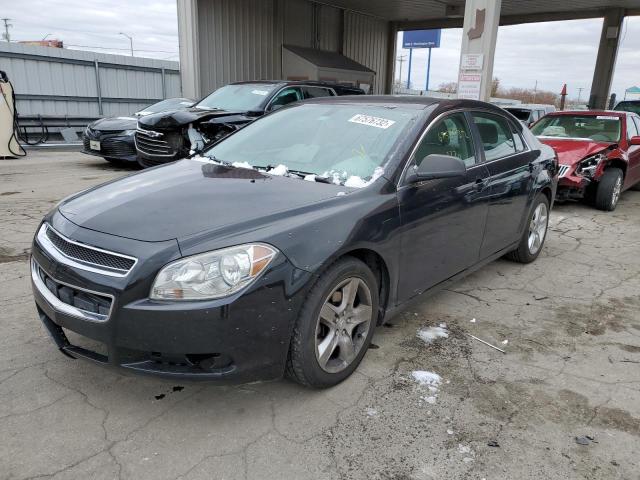 CHEVROLET MALIBU LS 2011 1g1zb5e18bf333393