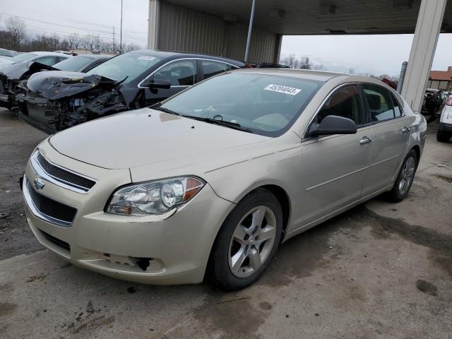 CHEVROLET MALIBU LS 2011 1g1zb5e19bf102017