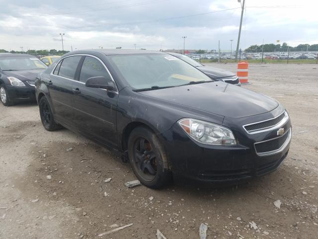 CHEVROLET MALIBU LS 2011 1g1zb5e19bf146051