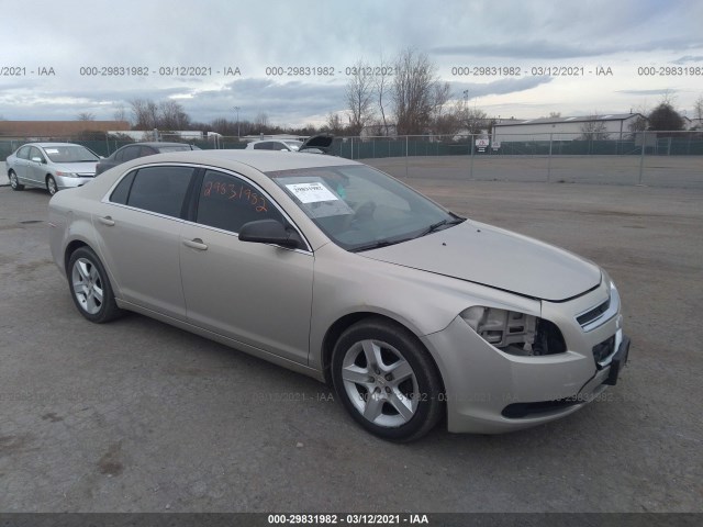 CHEVROLET MALIBU 2011 1g1zb5e19bf147619