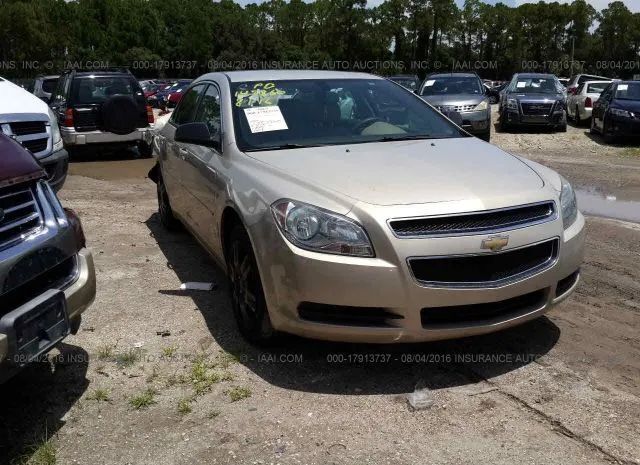 CHEVROLET MALIBU 2011 1g1zb5e19bf167711