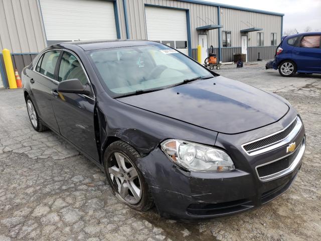 CHEVROLET MALIBU LS 2011 1g1zb5e19bf193094