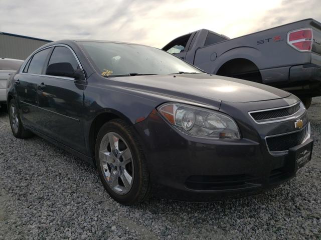 CHEVROLET MALIBU LS 2011 1g1zb5e19bf215420