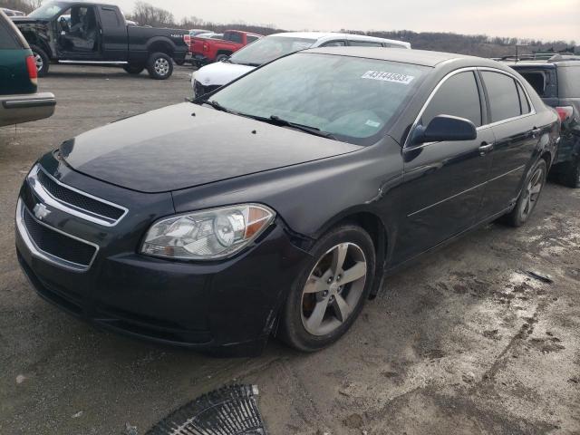 CHEVROLET MALIBU LS 2011 1g1zb5e19bf229382