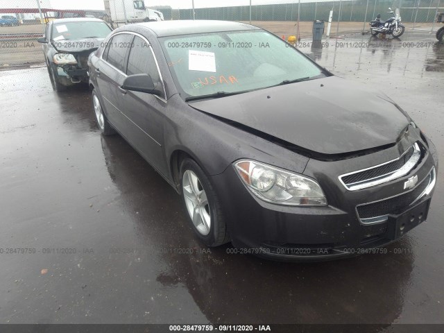 CHEVROLET MALIBU 2011 1g1zb5e19bf234596