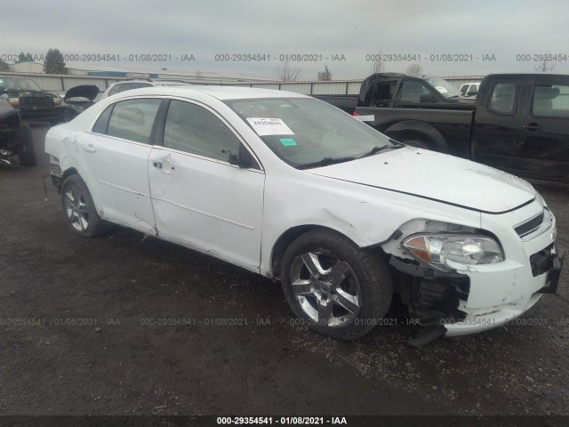 CHEVROLET MALIBU 2011 1g1zb5e19bf322810