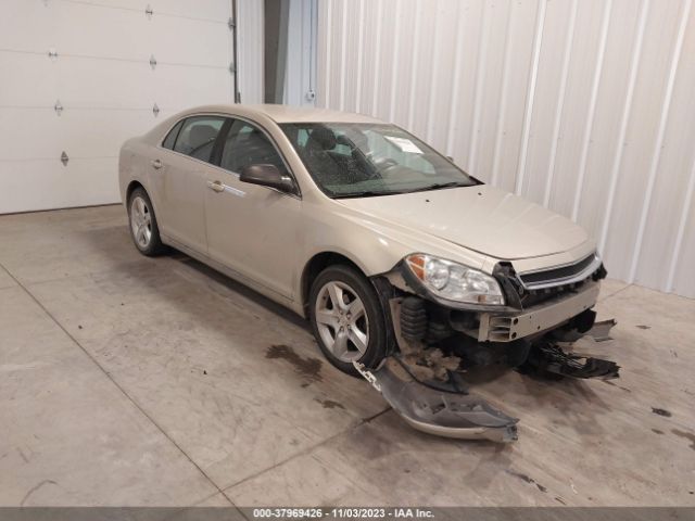 CHEVROLET MALIBU 2011 1g1zb5e1xbf122003