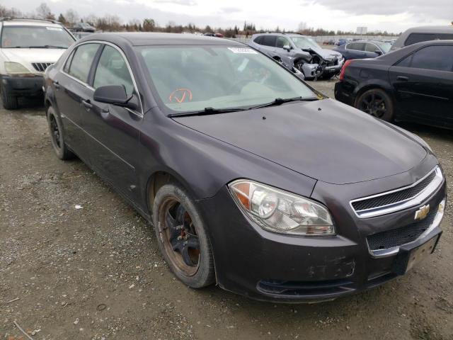 CHEVROLET MALIBU LS 2011 1g1zb5e1xbf136094