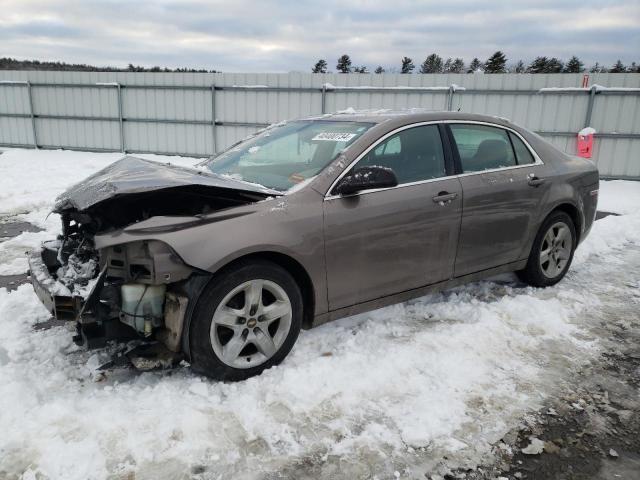 CHEVROLET MALIBU 2011 1g1zb5e1xbf170665