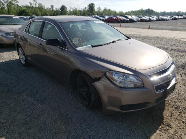 CHEVROLET MALIBU LS 2011 1g1zb5e1xbf199213