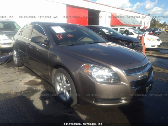 CHEVROLET MALIBU 2011 1g1zb5e1xbf212557