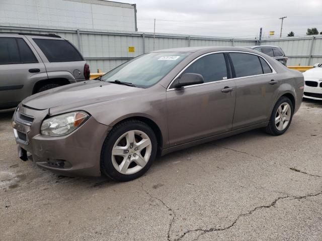 CHEVROLET MALIBU 2011 1g1zb5e1xbf242979