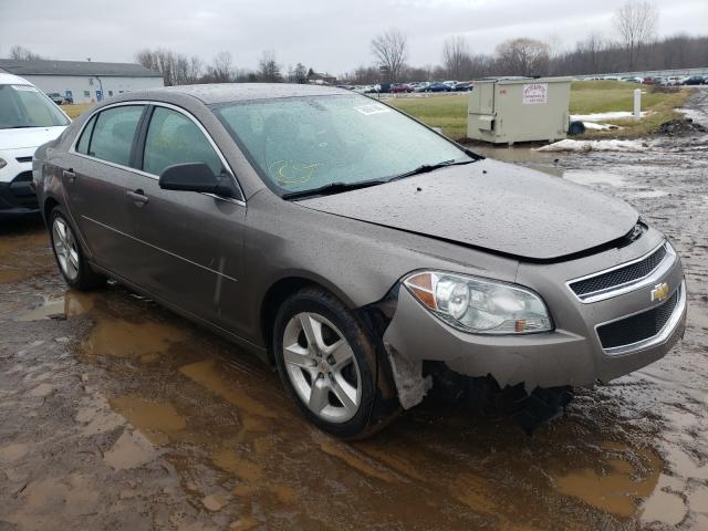 CHEVROLET MALIBU LS 2011 1g1zb5e1xbf268708