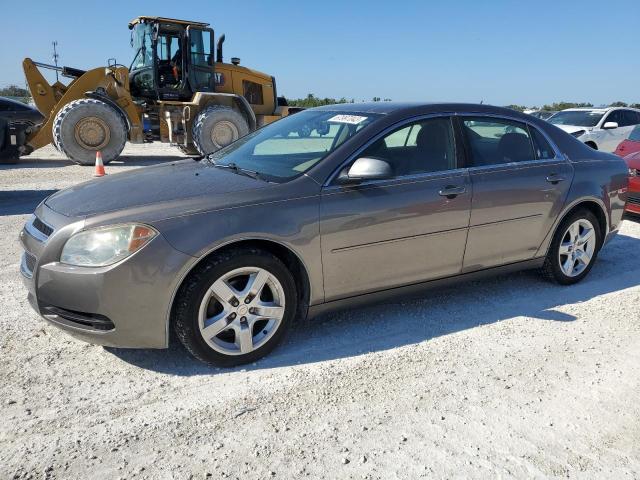 CHEVROLET MALIBU LS 2011 1g1zb5e1xbf318510