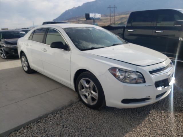 CHEVROLET MALIBU 2010 1g1zb5eb0a4139170