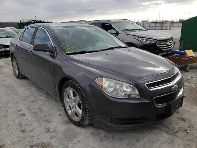 CHEVROLET MALIBU LS 2010 1g1zb5eb0a4147057