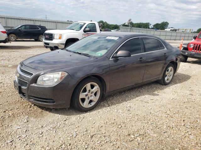 CHEVROLET MALIBU 2010 1g1zb5eb0a4156101