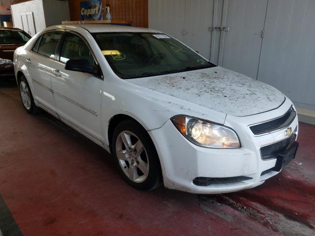 CHEVROLET MALIBU LS 2010 1g1zb5eb0af218858