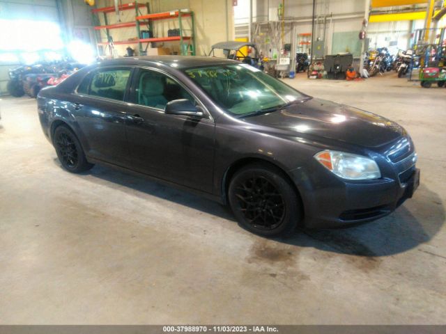 CHEVROLET MALIBU 2010 1g1zb5eb0af258714