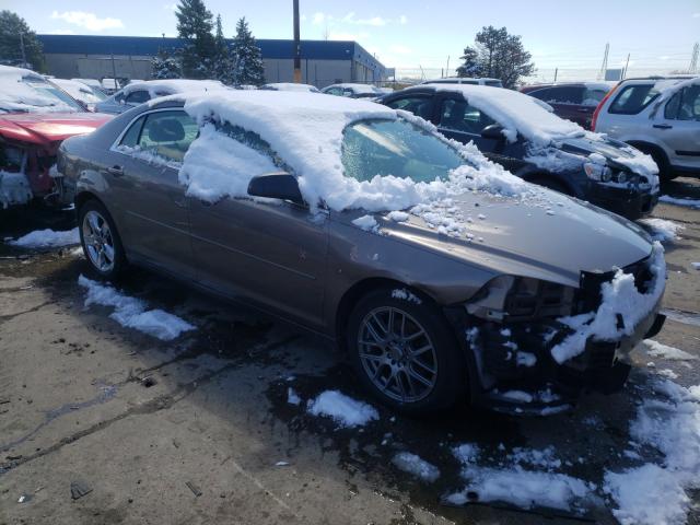 CHEVROLET MALIBU LS 2010 1g1zb5eb0af273388