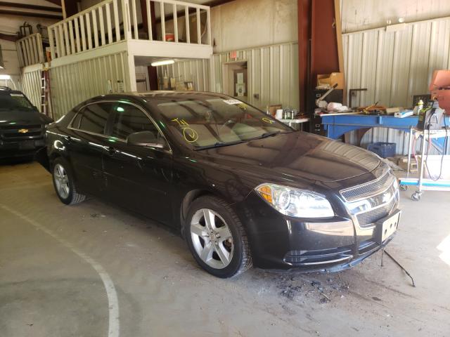 CHEVROLET MALIBU LS 2010 1g1zb5eb0af313114