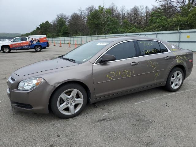 CHEVROLET MALIBU LS 2010 1g1zb5eb0af317261