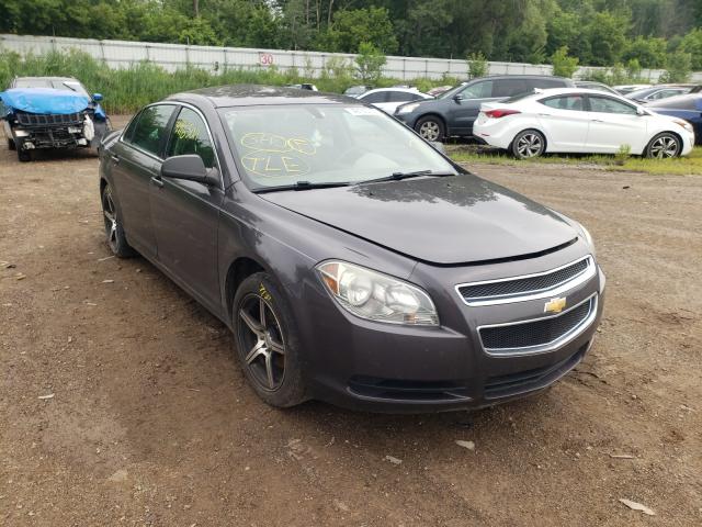 CHEVROLET MALIBU LS 2010 1g1zb5eb1a4141039