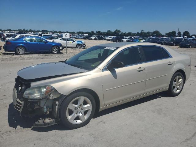 CHEVROLET MALIBU 2010 1g1zb5eb1af125654