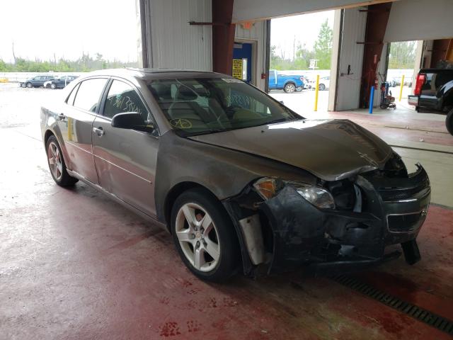 CHEVROLET MALIBU LS 2010 1g1zb5eb1af152644