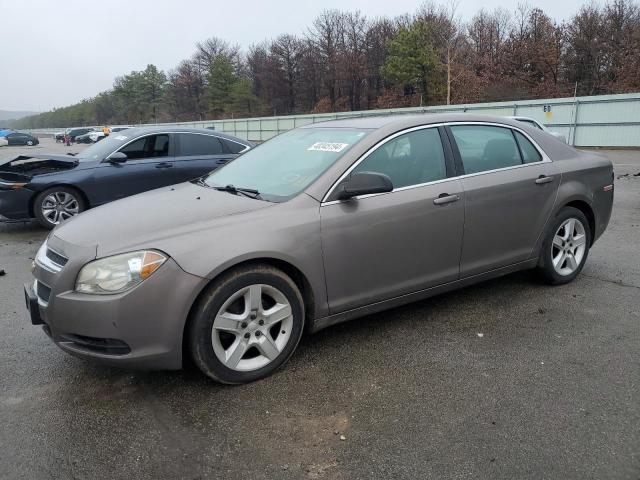 CHEVROLET MALIBU 2010 1g1zb5eb1af203060