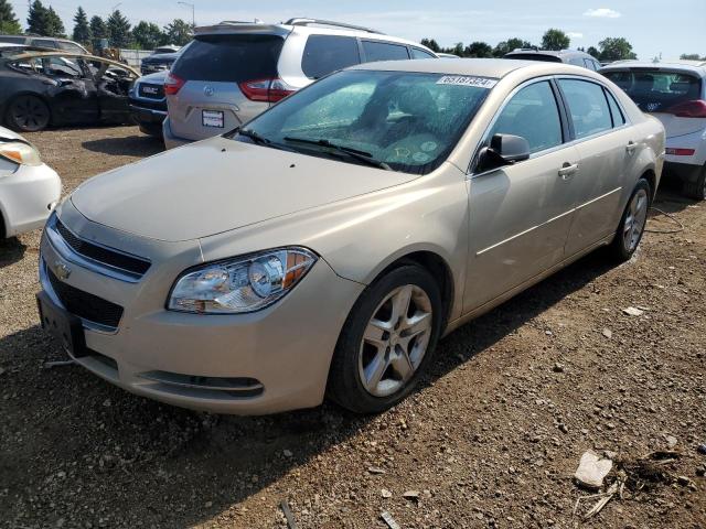 CHEVROLET MALIBU 2010 1g1zb5eb1af203334