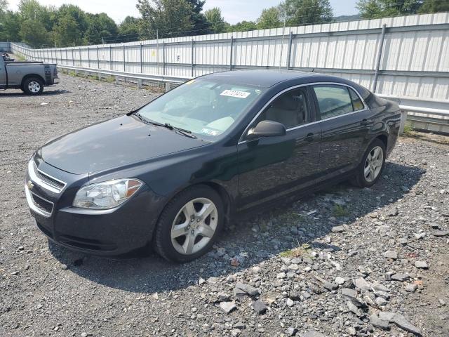 CHEVROLET MALIBU LS 2010 1g1zb5eb1af228265