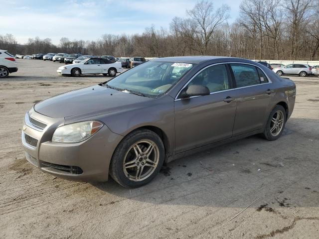 CHEVROLET MALIBU LS 2010 1g1zb5eb1af231585