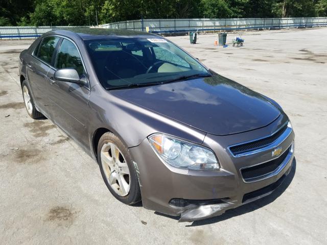 CHEVROLET MALIBU LS 2010 1g1zb5eb1af235085