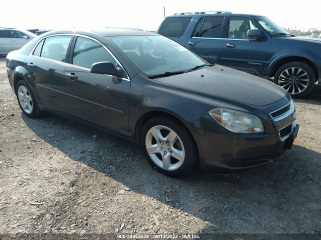 CHEVROLET MALIBU 2010 1g1zb5eb1af237905