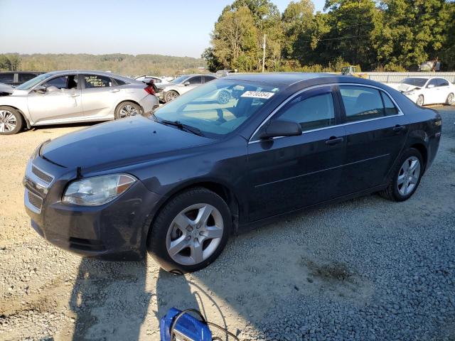 CHEVROLET MALIBU LS 2010 1g1zb5eb1af246040