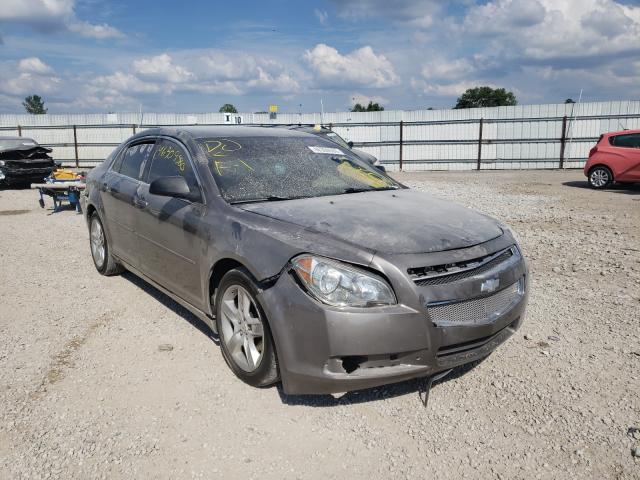 CHEVROLET MALIBU LS 2010 1g1zb5eb1af259659