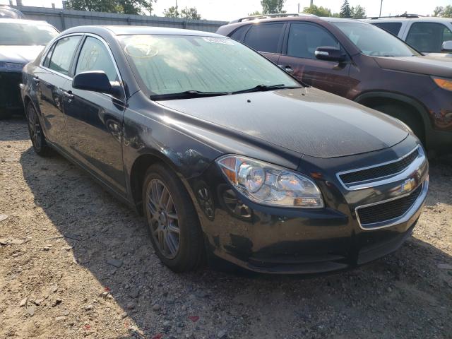 CHEVROLET MALIBU LS 2010 1g1zb5eb1af303921