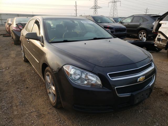 CHEVROLET MALIBU LS 2010 1g1zb5eb1af311016