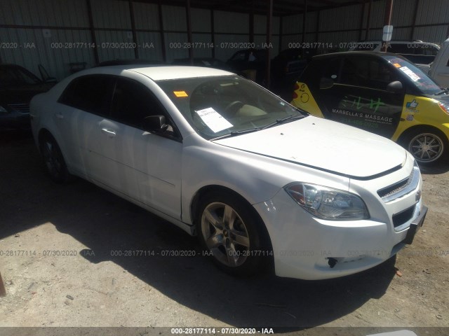 CHEVROLET MALIBU 2010 1g1zb5eb1af313316