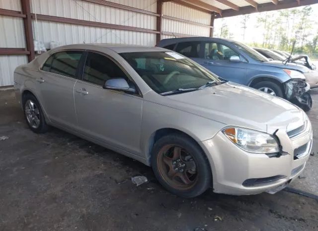 CHEVROLET MALIBU 2010 1g1zb5eb1af315888