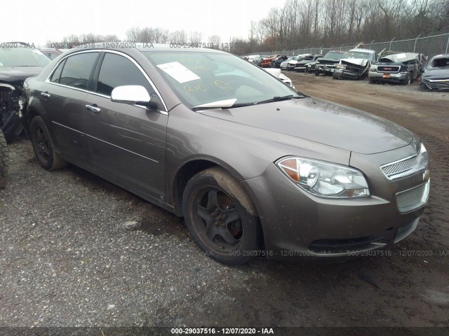 CHEVROLET MALIBU 2010 1g1zb5eb2af107759