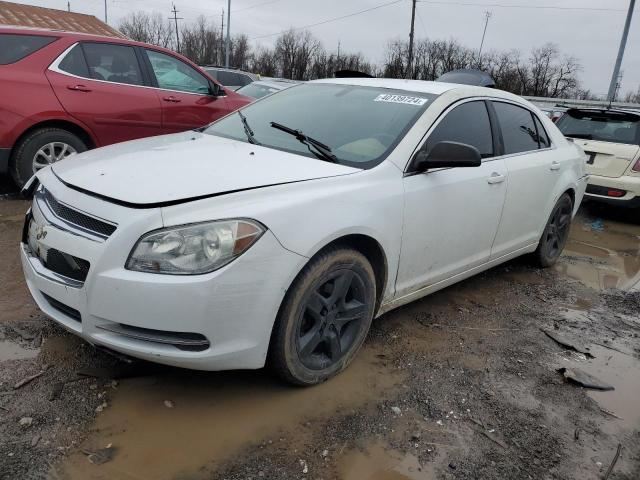 CHEVROLET MALIBU 2010 1g1zb5eb2af176810