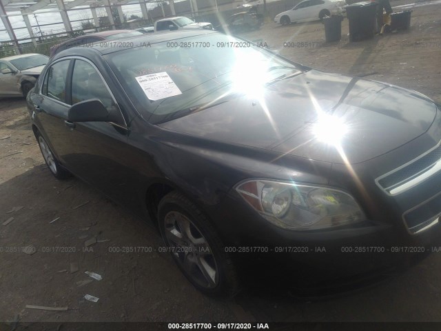 CHEVROLET MALIBU 2010 1g1zb5eb2af212916