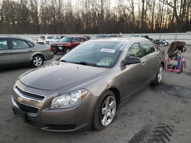 CHEVROLET MALIBU LS 2010 1g1zb5eb2af224533