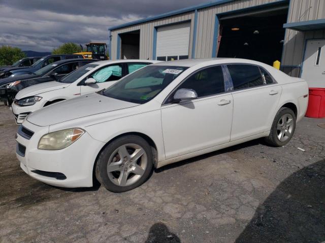 CHEVROLET MALIBU 2010 1g1zb5eb2af237461