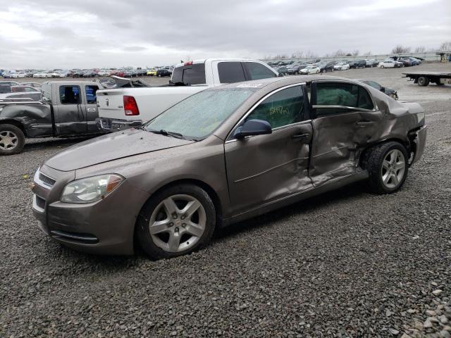 CHEVROLET MALIBU LS 2010 1g1zb5eb2af240389