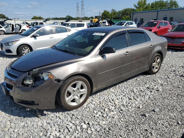 CHEVROLET MALIBU LS 2010 1g1zb5eb2af240408