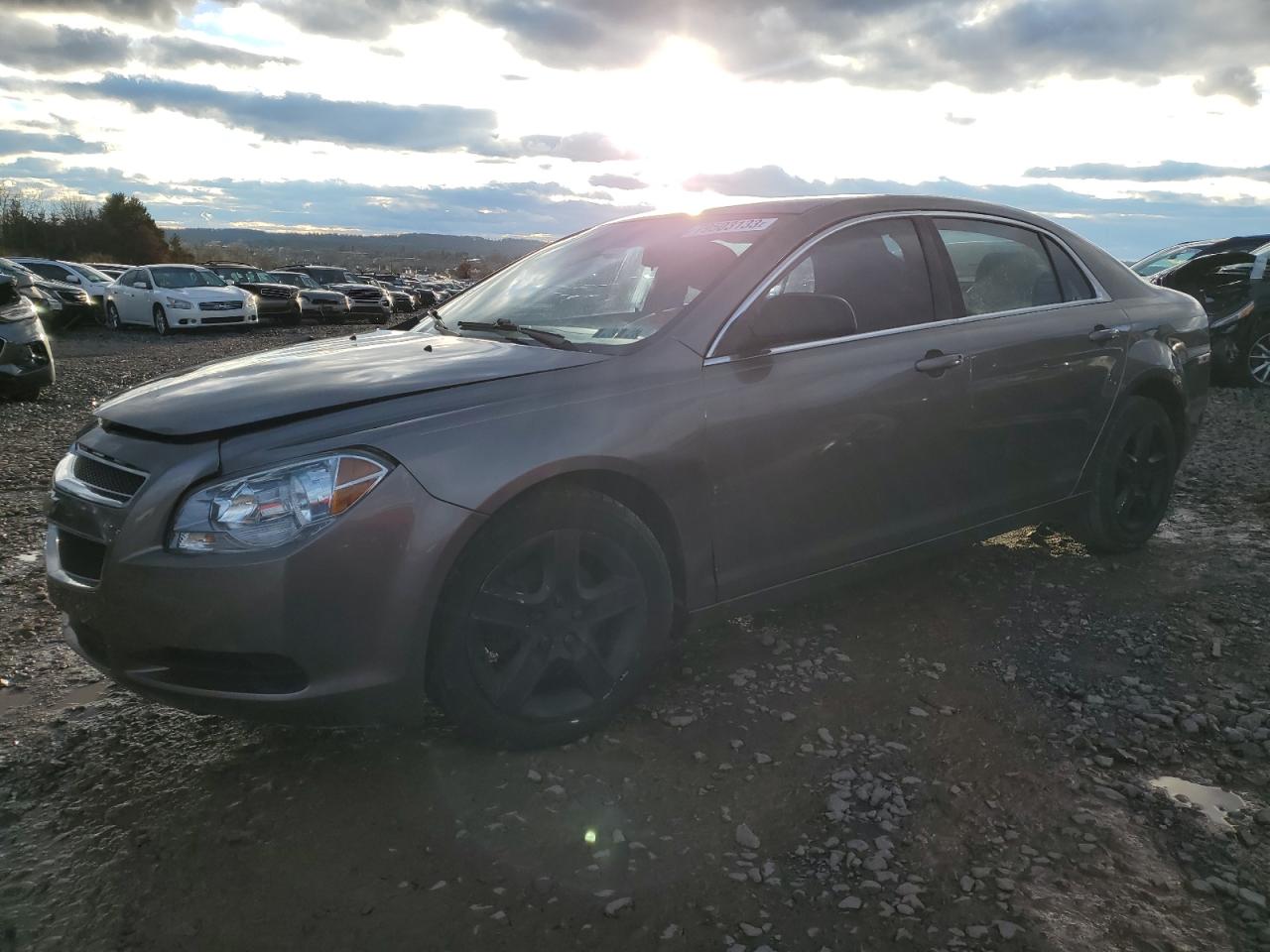 CHEVROLET MALIBU 2010 1g1zb5eb2af260299